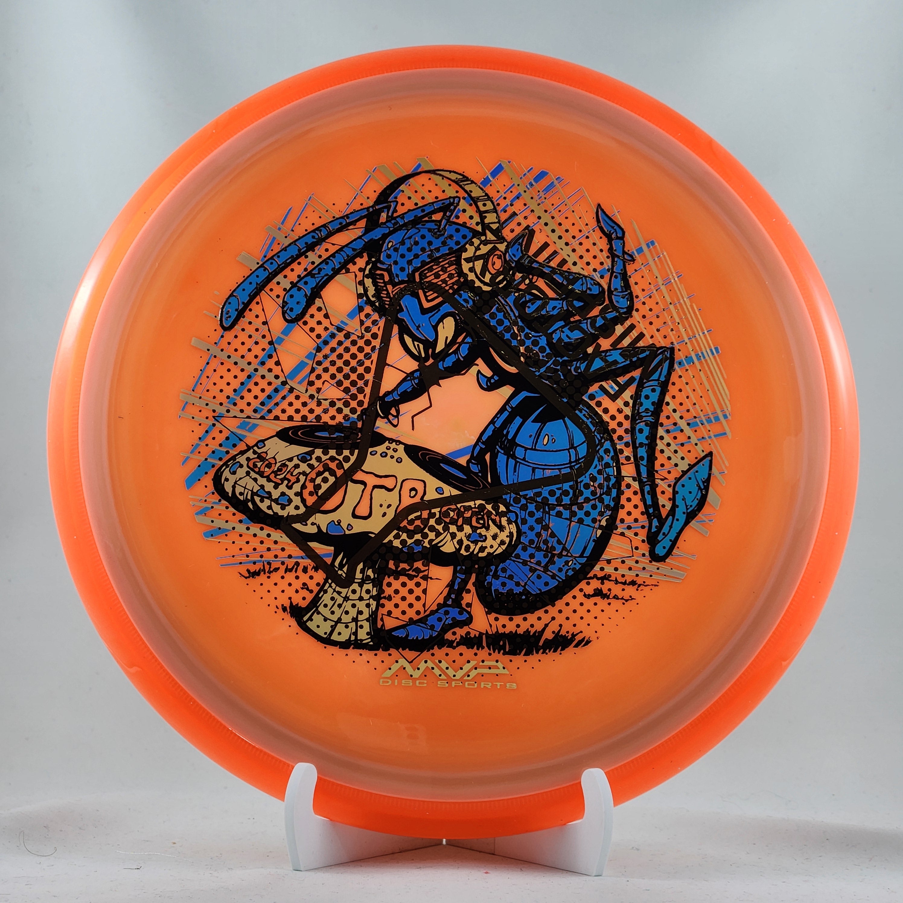 Rare, Unique and Collectable – The Disc Basket